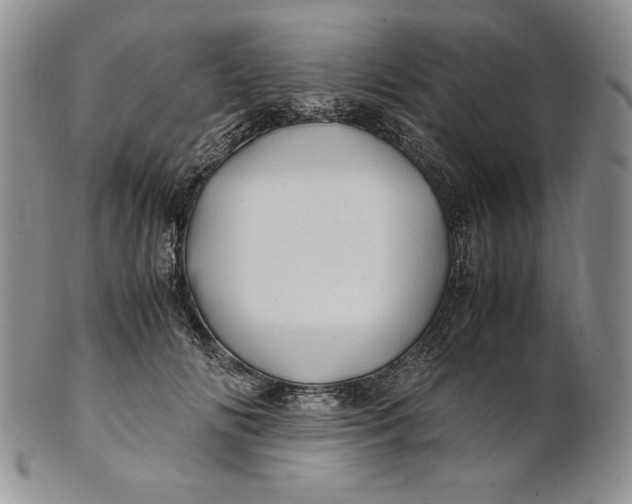 X0000100760702200807101728