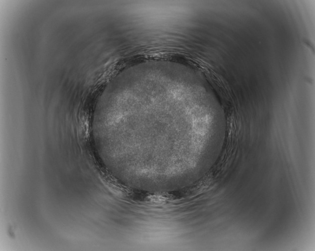 X0000100760703200807101728
