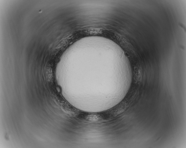 X0000100760704200807101728