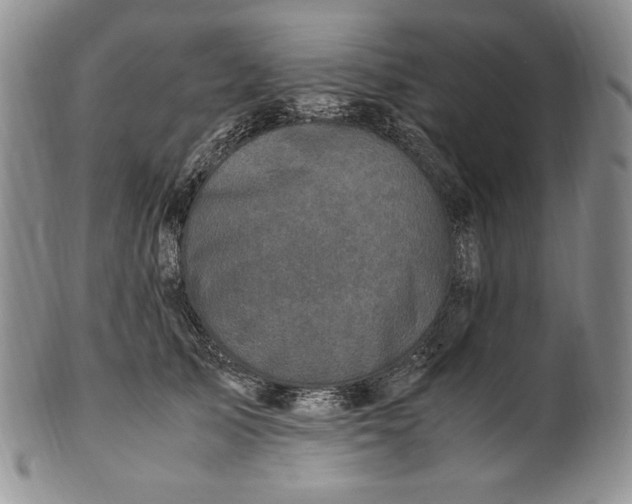 X0000100760705200807101728