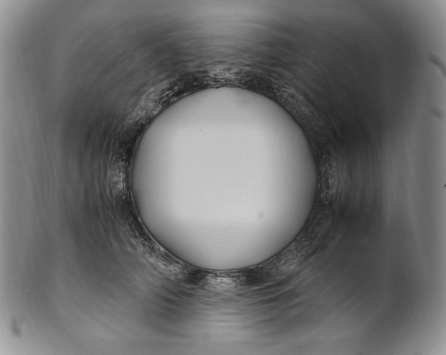 X0000100760706200807101728