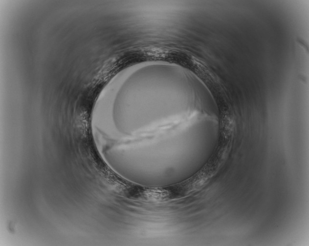 X0000100760707200807101728