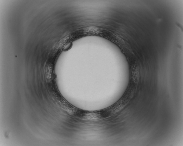 X0000100760708200807101728