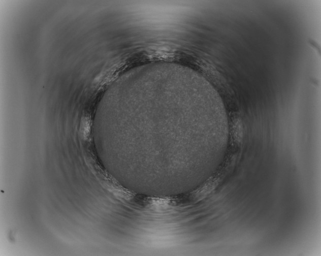 X0000100760709200807101728