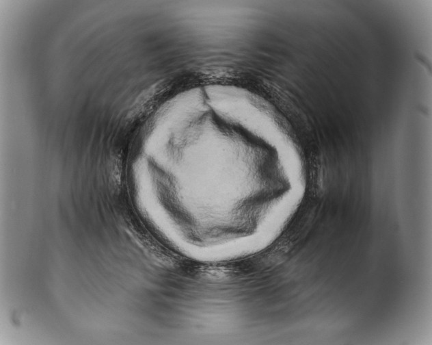 X0000100760710200807101728