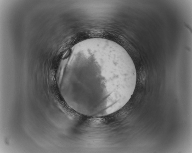 X0000100760711200807101727