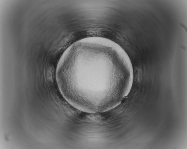 X0000100760712200807101727