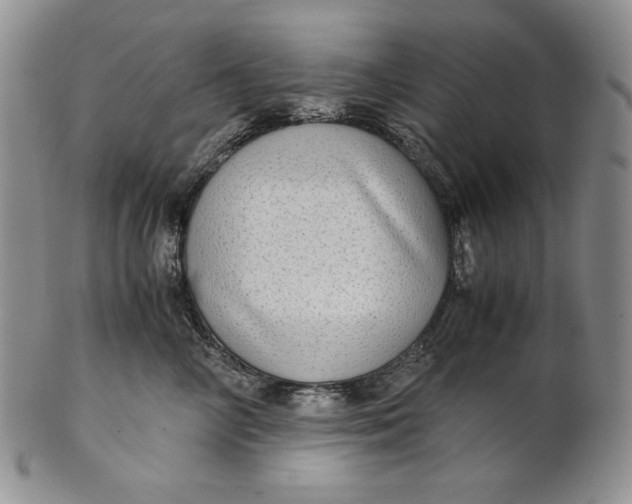 X0000100760714200807101727