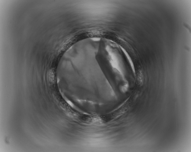 X0000100760715200807101727