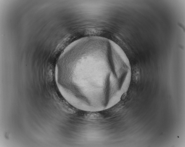 X0000100760716200807101727