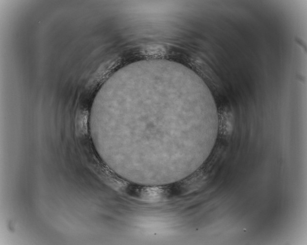 X0000100760717200807101727