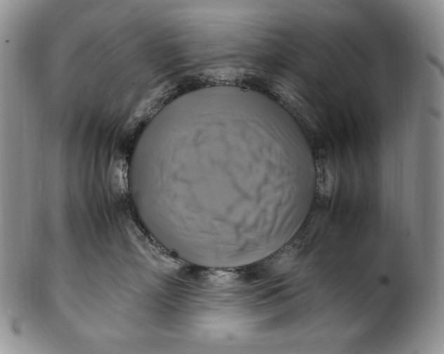 X0000100760718200807101727