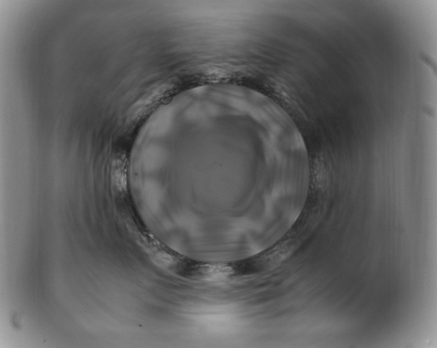 X0000100760719200807101727