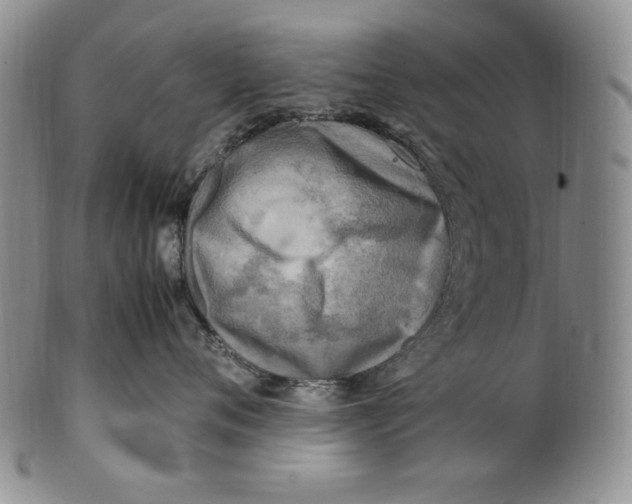 X0000100760720200807101727