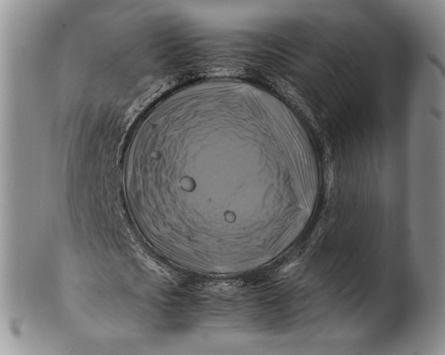 X0000100760721200807101727