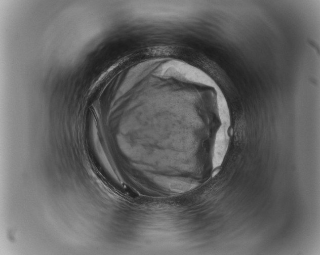X0000100760722200807101727