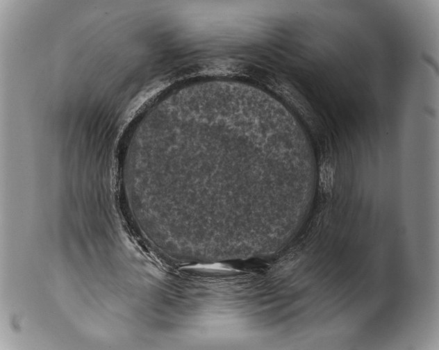 X0000100760724200807101727