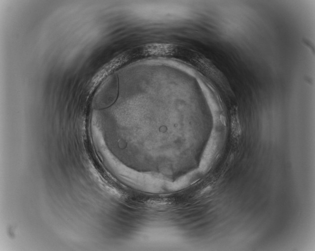 X0000100760725200807101727