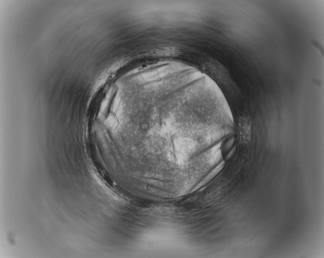 X0000100760726200807101727