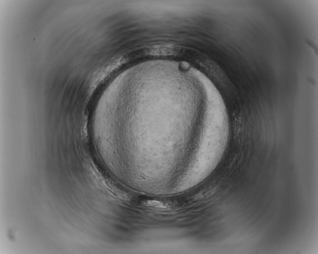 X0000100760727200807101727