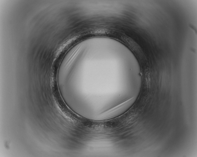 X0000100760728200807101727
