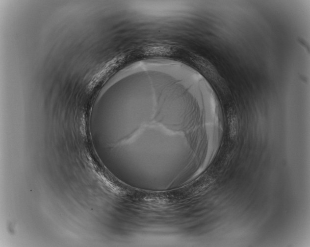X0000100760729200807101727