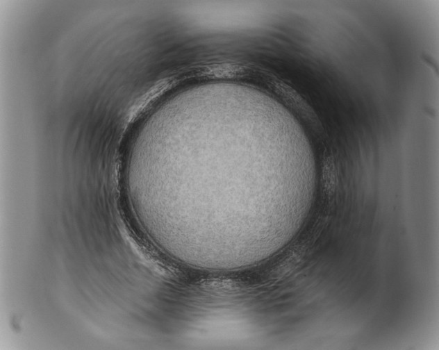 X0000100760730200807101727