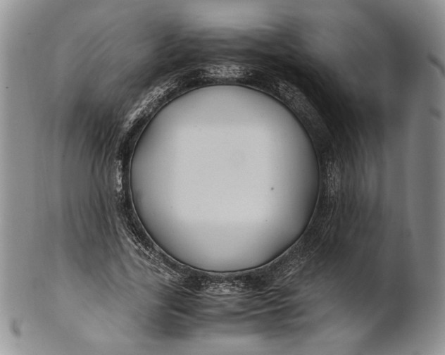 X0000100760731200807101727