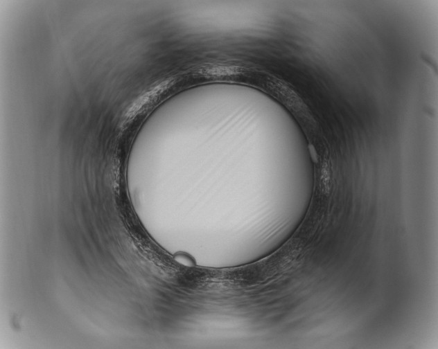 X0000100760732200807101727