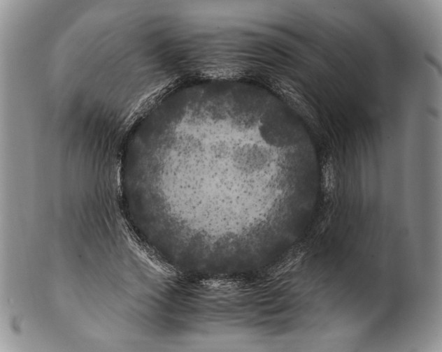 X0000100760733200807101727