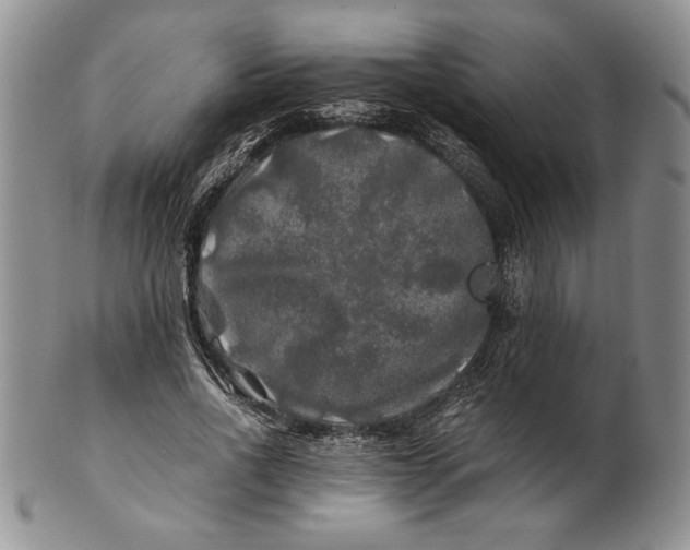 X0000100760734200807101727