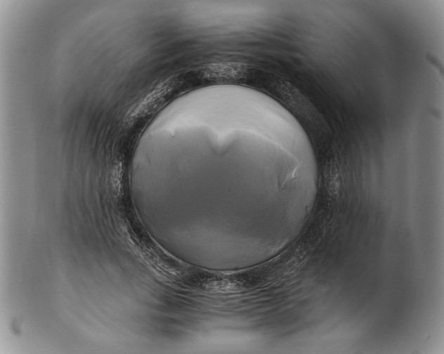 X0000100760735200807101727