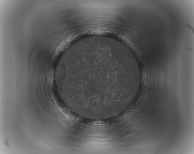 X0000100760736200807101727