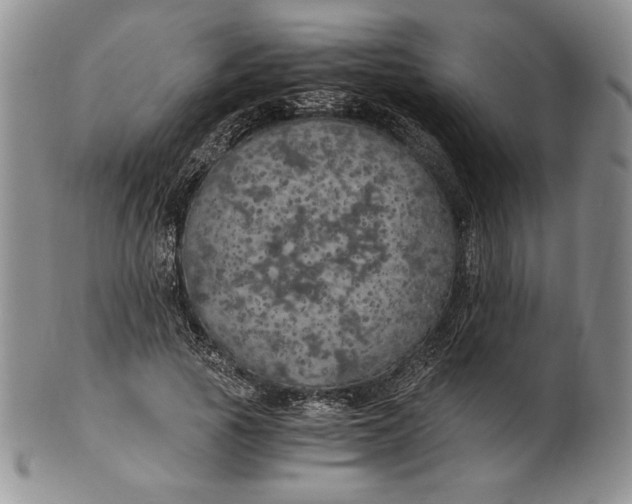 X0000100760737200807101727