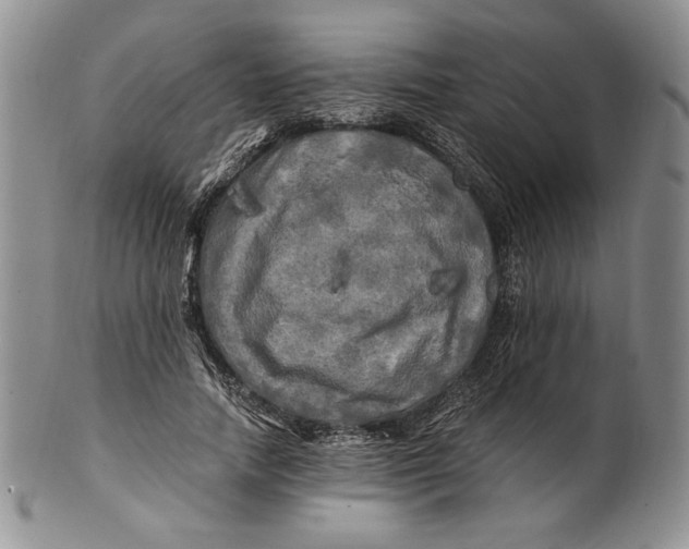 X0000100760738200807101727