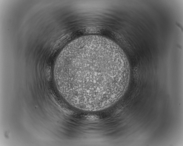 X0000100760741200807101727