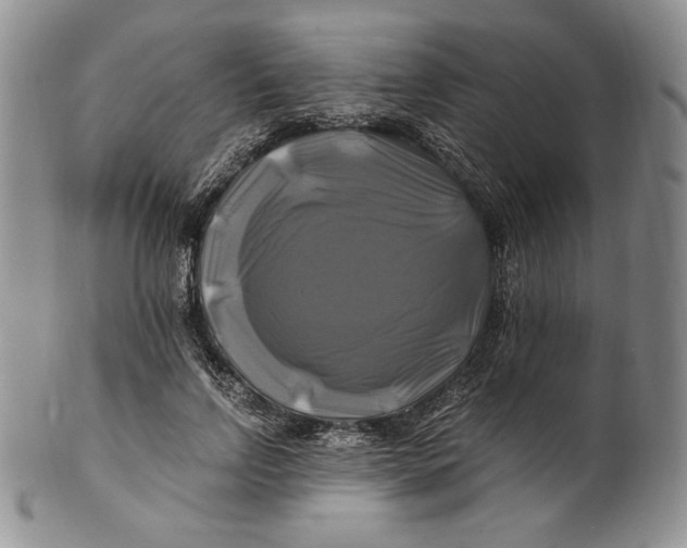 X0000100760742200807101727