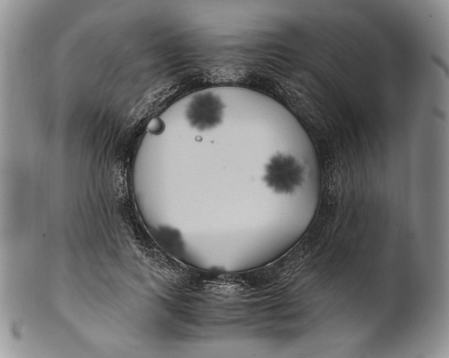 X0000100760743200807101727