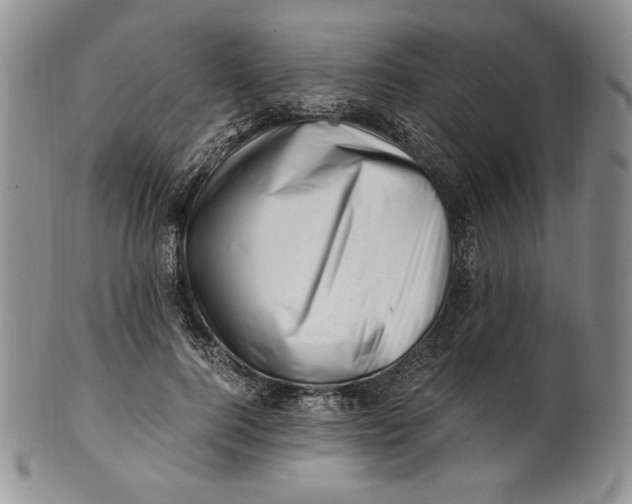 X0000100760744200807101727