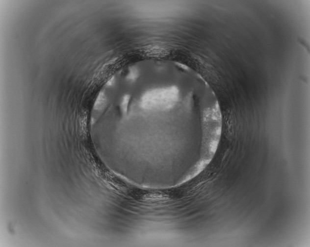 X0000100760745200807101727
