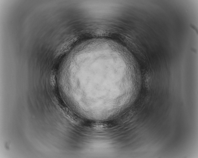 X0000100760746200807101727