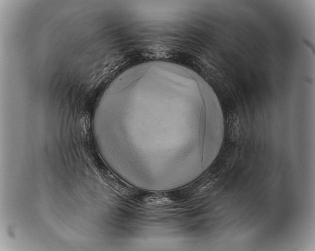 X0000100760747200807101727