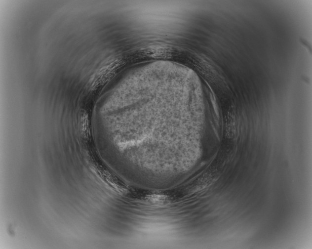 X0000100760748200807101727
