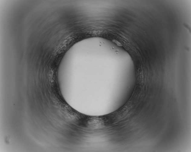 X0000100760750200807101727