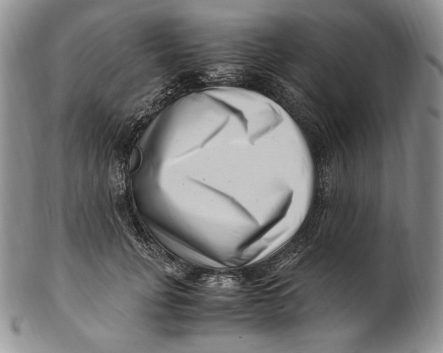 X0000100760751200807101727