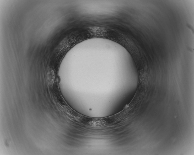 X0000100760752200807101727
