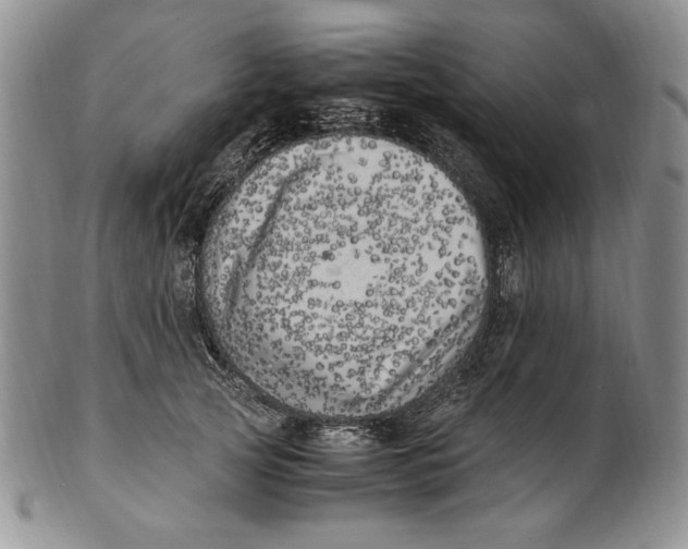 X0000100760753200807101727