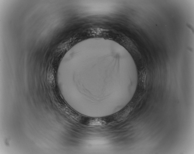 X0000100760754200807101727