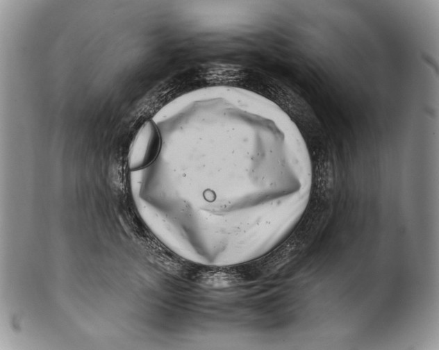 X0000100760755200807101727