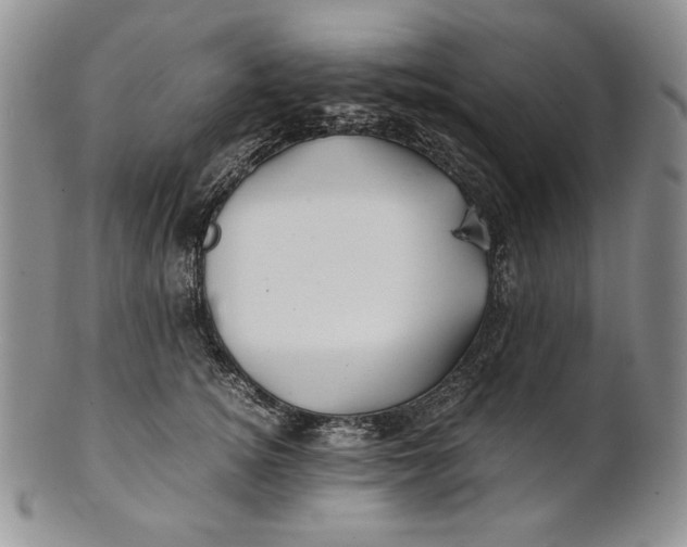 X0000100760756200807101727